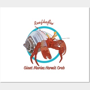 Giant Marine Hermit Crab Posters and Art